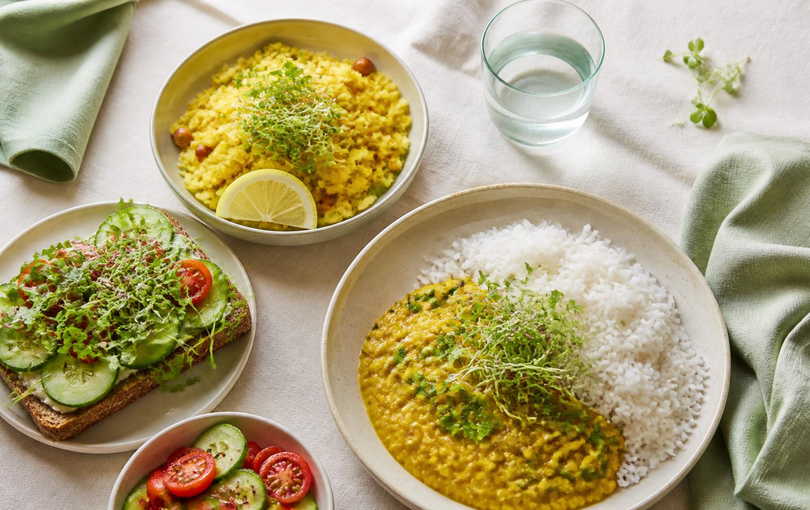Everyday Indian home meals — poha, dal-rice, sandwich and salad — topped with fresh microgreens